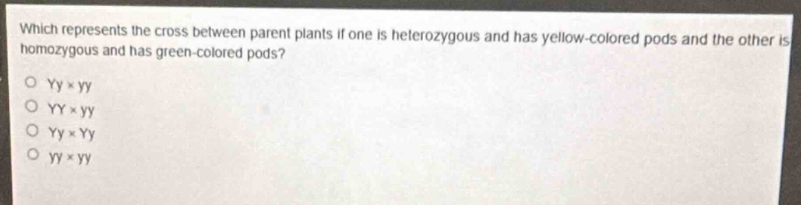 which represents the cross between parent plants if one is heterozygous and has yellow - colored pods and the other is homozygous and has green - colored pods?\no yy×yy\no yy×yy\no yy×yy\no yy×yy