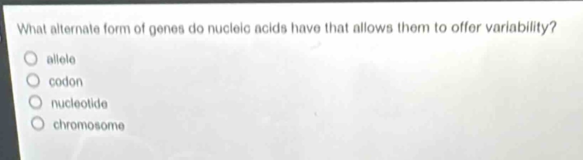 what alternate form of genes do nucleic acids have that allows them to offer variability?\nallele\ncodon\nnucleotide\nchromosome