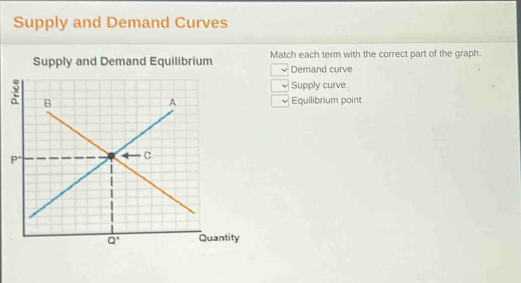 supply and demand curves\nsupply and demand equilibrium\nmatch each term with the correct part of the graph.\ndemand curve\nsupply curve\nequilibrium point