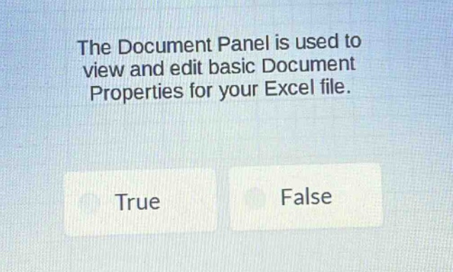 the document panel is used to view and edit basic document properties for your excel file. true false