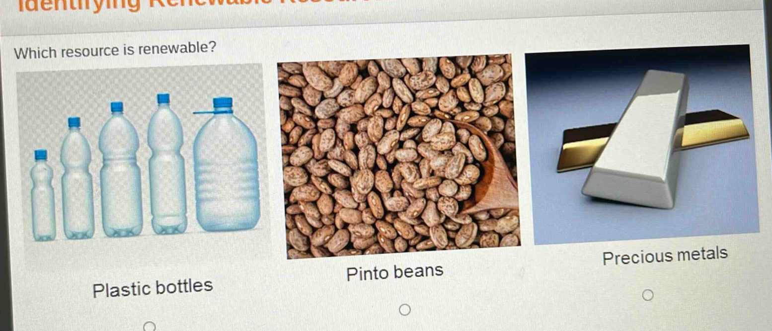 which resource is renewable? plastic bottles pinto beans precious metals
