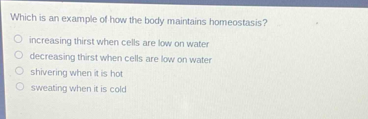 which is an example of how the body maintains homeostasis? increasing thirst when cells are low on water decreasing thirst when cells are low on water shivering when it is hot sweating when it is cold