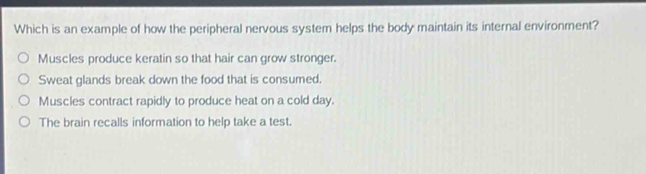 which is an example of how the peripheral nervous system helps the body maintain its internal environment? muscles produce keratin so that hair can grow stronger. sweat glands break down the food that is consumed. muscles contract rapidly to produce heat on a cold day. the brain recalls information to help take a test.