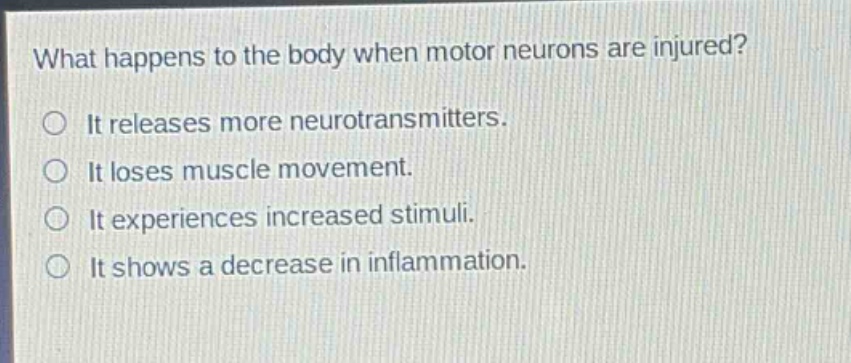 what happens to the body when motor neurons are injured? it releases more neurotransmitters. it loses muscle movement. it experiences increased stimuli. it shows a decrease in inflammation.