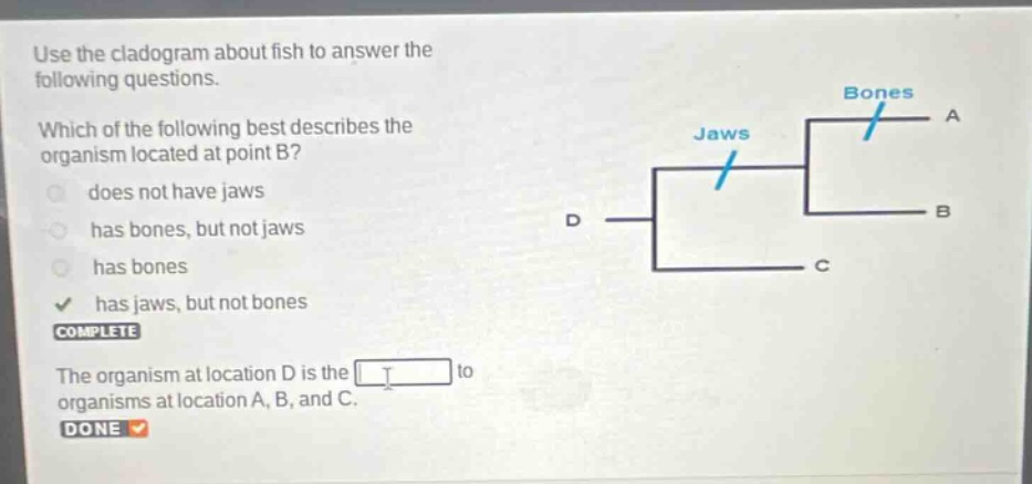 use the cladogram about fish to answer the following questions. which of the following best describes the organism located at point b? does not have jaws has bones, but not jaws has bones has jaws, but not bones complete the organism at location d is the to organisms at location a, b, and c. done