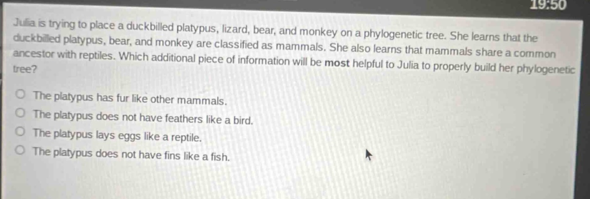 julia is trying to place a duckbilled platypus, lizard, bear, and monkey on a phylogenetic tree. she learns that the duckbilled platypus, bear, and monkey are classified as mammals. she also learns that mammals share a common ancestor with reptiles. which additional piece of information will be most helpful to julia to properly build her phylogenetic tree?\nthe platypus has fur like other mammals.\nthe platypus does not have feathers like a bird.\nthe platypus lays eggs like a reptile.\nthe platypus does not have fins like a fish.