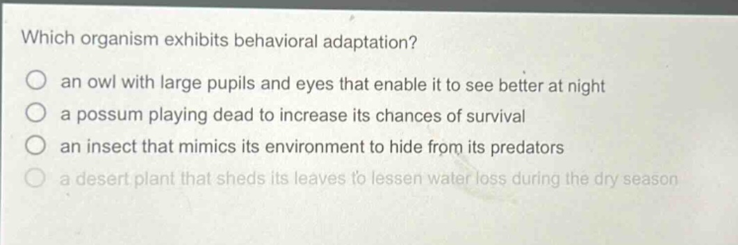 which organism exhibits behavioral adaptation? an owl with large pupils and eyes that enable it to see better at night a possum playing dead to increase its chances of survival an insect that mimics its environment to hide from its predators a desert plant that sheds its leaves to lessen water loss during the dry season