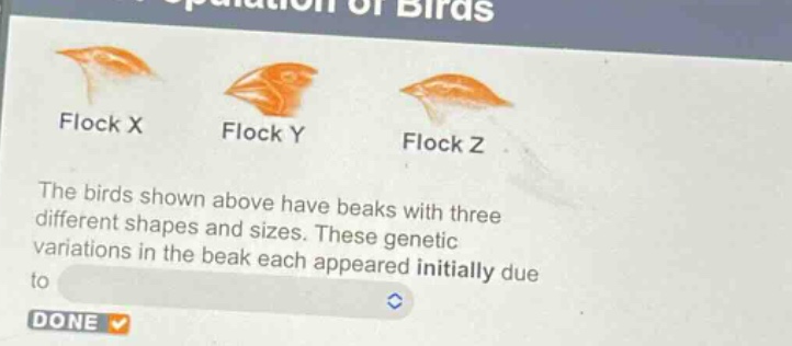 the birds shown above have beaks with three different shapes and sizes. these genetic variations in the beak each appeared initially due to