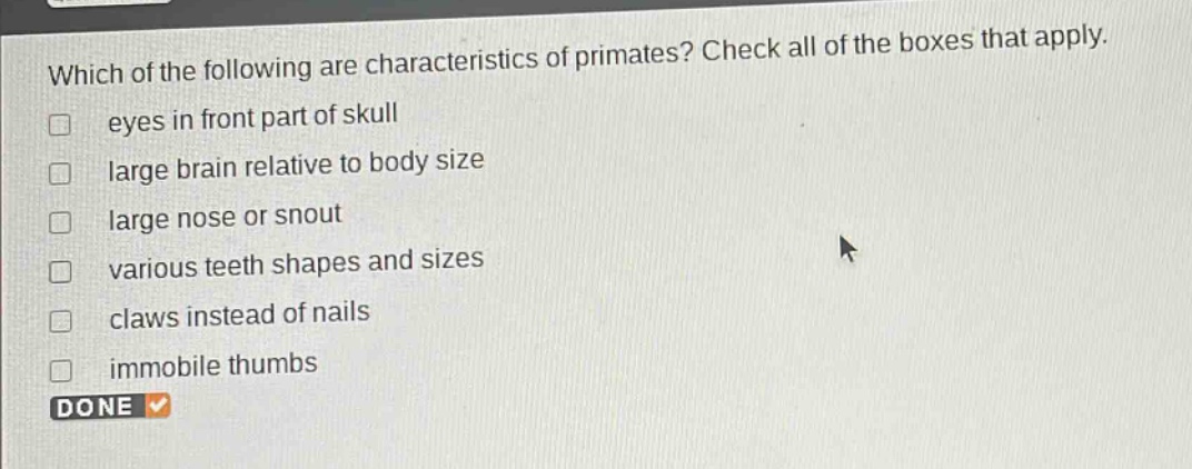 which of the following are characteristics of primates? check all of the boxes that apply. eyes in front part of skull large brain relative to body size large nose or snout various teeth shapes and sizes claws instead of nails immobile thumbs done
