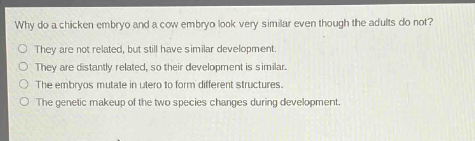 why do a chicken embryo and a cow embryo look very similar even though the adults do not? they are not related, but still have similar development. they are distantly related, so their development is similar. the embryos mutate in utero to form different structures. the genetic makeup of the two species changes during development.