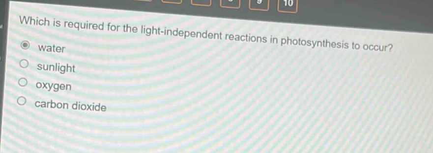 which is required for the light - independent reactions in photosynthesis to occur?\nwater\nsunlight\noxygen\ncarbon dioxide
