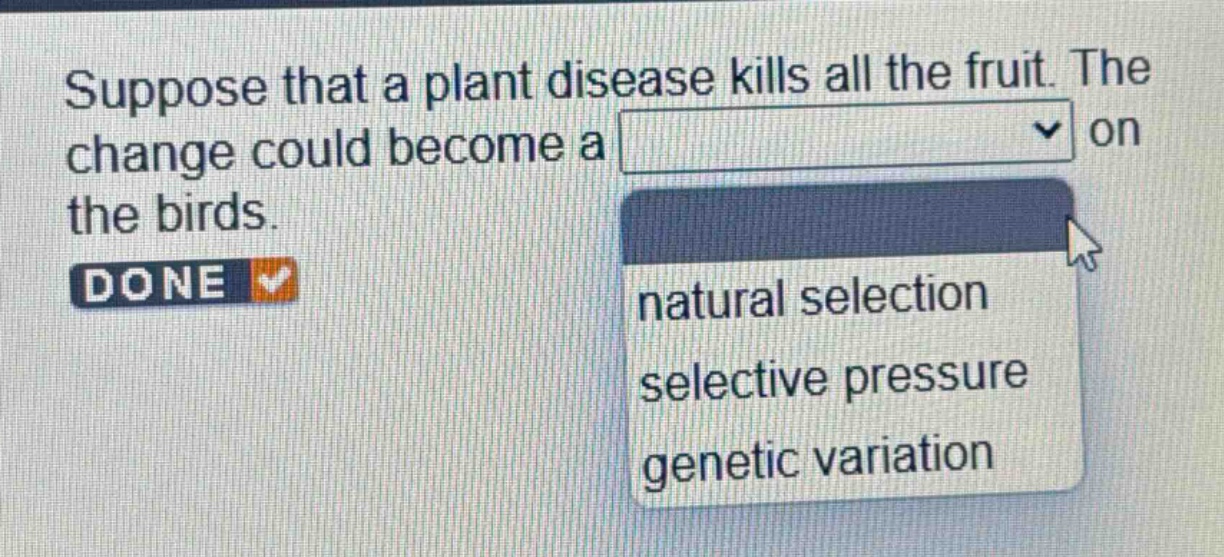 suppose that a plant disease kills all the fruit. the change could become a on the birds. done natural selection selective pressure genetic variation