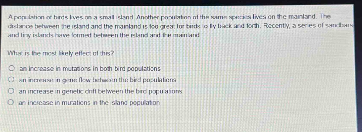 a population of birds lives on a small island. another population of the same species lives on the mainland. the distance between the island and the mainland is too great for birds to fly back and forth. recently, a series of sandbars and tiny islands have formed between the island and the mainland. what is the most likely effect of this? an increase in mutations in both bird populations an increase in gene flow between the bird populations an increase in genetic drift between the bird populations an increase in mutations in the island population