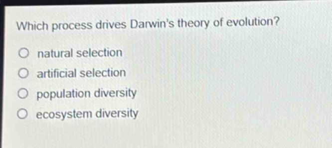 which process drives darwins theory of evolution?\no natural selection\no artificial selection\no population diversity\no ecosystem diversity
