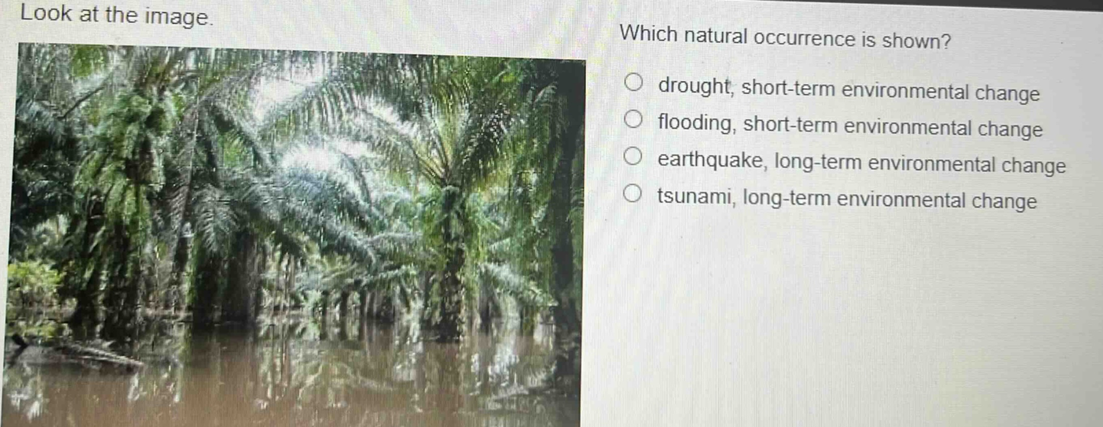 look at the image. which natural occurrence is shown? drought, short - term environmental change flooding, short - term environmental change earthquake, long - term environmental change tsunami, long - term environmental change