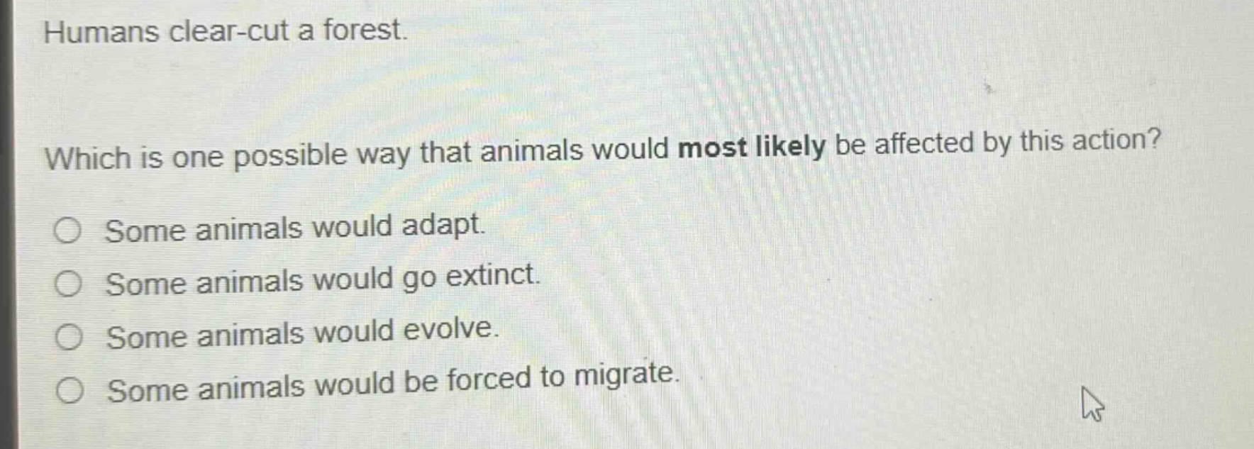 humans clear - cut a forest. which is one possible way that animals would most likely be affected by this action? some animals would adapt. some animals would go extinct. some animals would evolve. some animals would be forced to migrate.