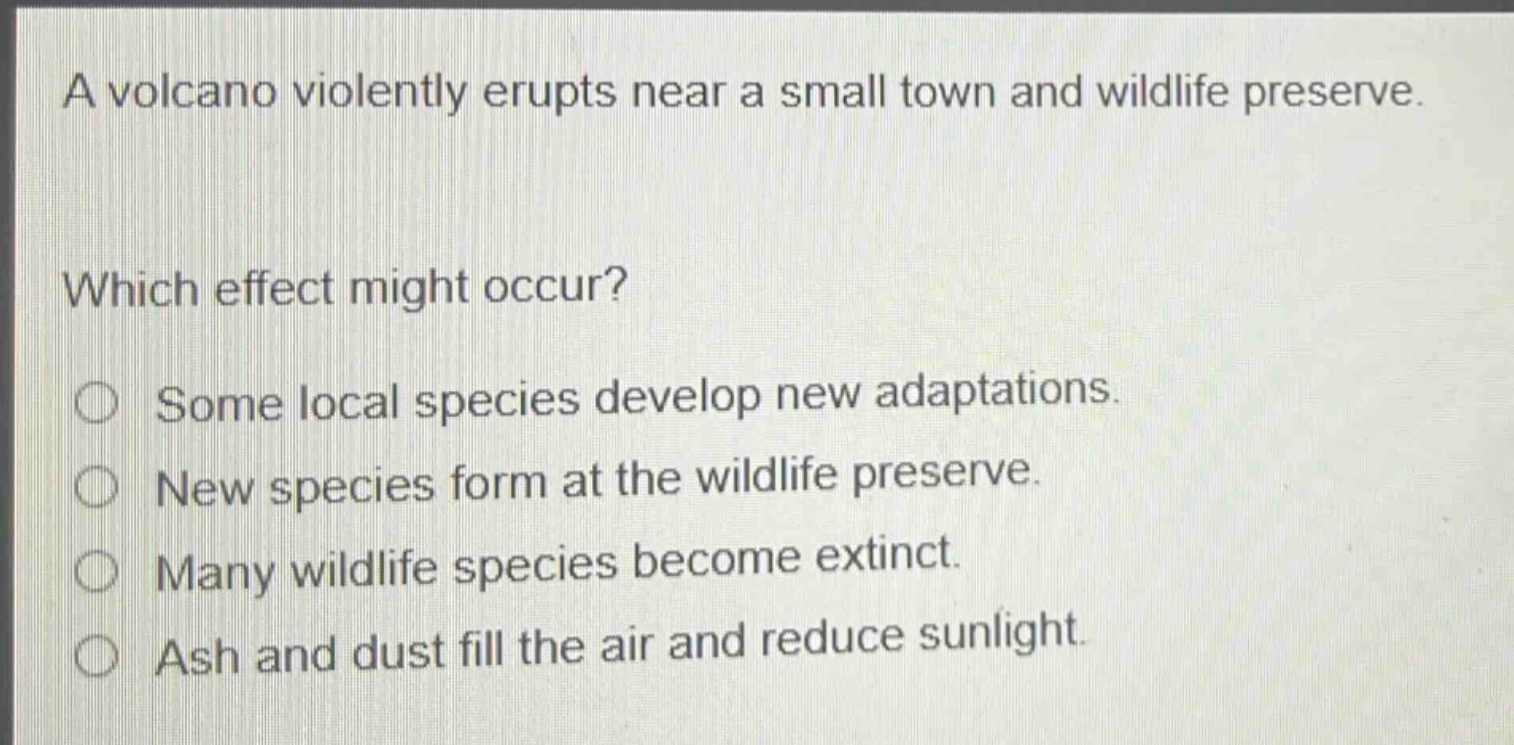 a volcano violently erupts near a small town and wildlife preserve. which effect might occur? some local species develop new adaptations. new species form at the wildlife preserve. many wildlife species become extinct. ash and dust fill the air and reduce sunlight.