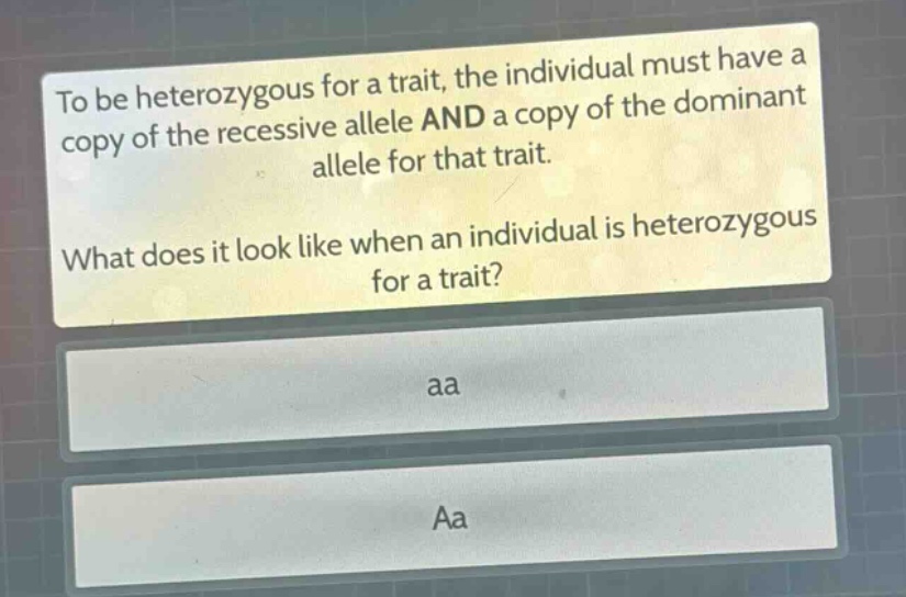 to be heterozygous for a trait, the individual must have a copy of the recessive allele and a copy of the dominant allele for that trait. what does it look like when an individual is heterozygous for a trait? aa aa