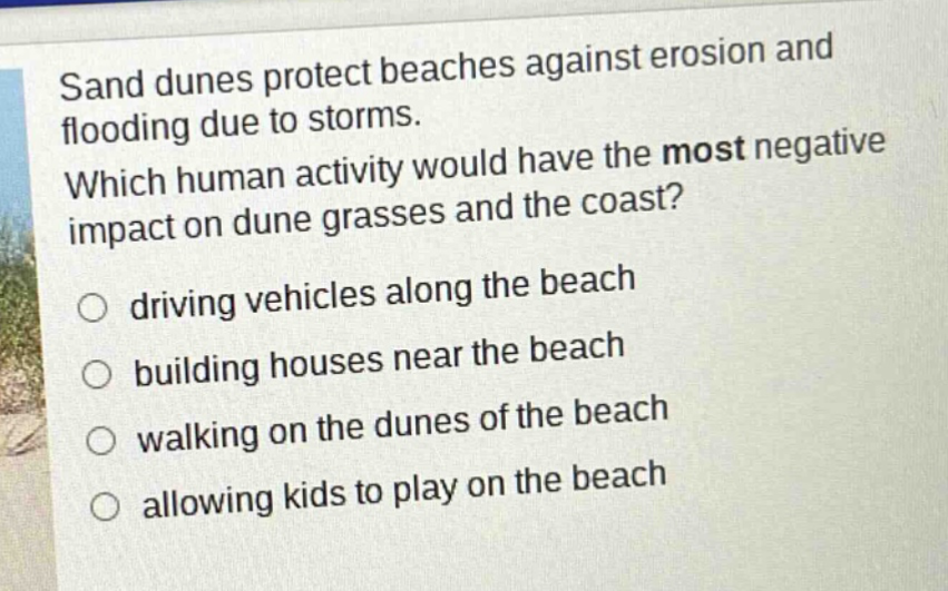 sand dunes protect beaches against erosion and flooding due to storms. which human activity would have the most negative impact on dune grasses and the coast? driving vehicles along the beach building houses near the beach walking on the dunes of the beach allowing kids to play on the beach