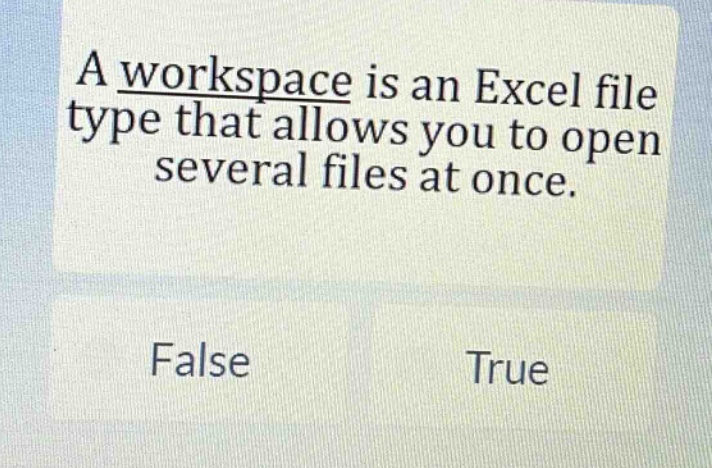 a workspace is an excel file type that allows you to open several files at once. false true
