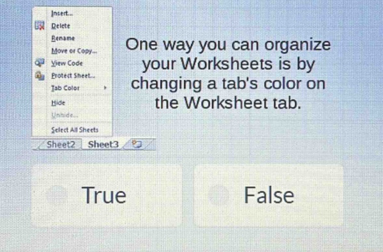 one way you can organize your worksheets is by changing a tabs color on the worksheet tab. true false
