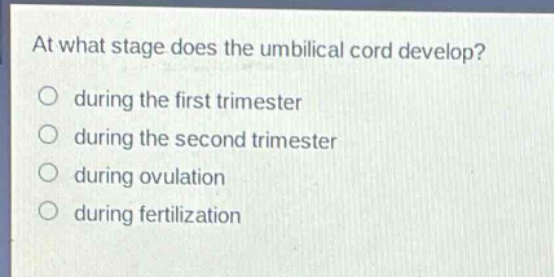 at what stage does the umbilical cord develop?\no during the first trimester\no during the second trimester\no during ovulation\no during fertilization