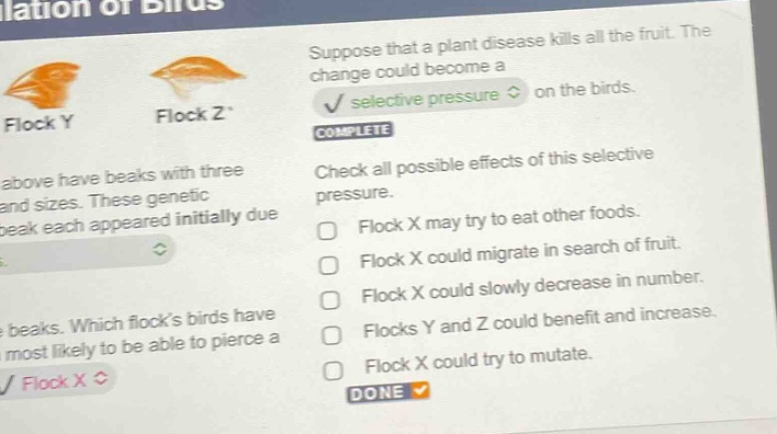 suppose that a plant disease kills all the fruit. the change could become a selective pressure on the birds. complete check all possible effects of this selective pressure. flock x may try to eat other foods. flock x could migrate in search of fruit. flock x could slowly decrease in number. flocks y and z could benefit and increase. flock x could try to mutate. done