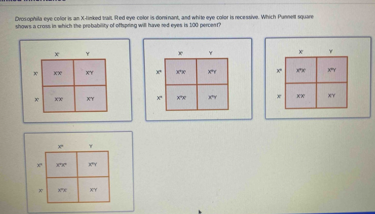 drosophila eye color is an x - linked trait. red eye color is dominant, and white eye color is recessive. which punnett square shows a cross in which the probability of offspring will have red eyes is 100 percent?