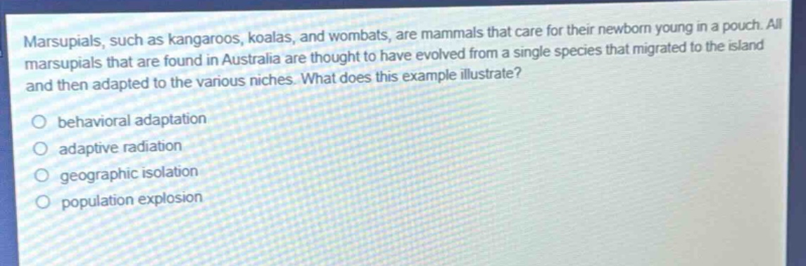 marsupials, such as kangaroos, koalas, and wombats, are mammals that care for their newborn young in a pouch. all marsupials that are found in australia are thought to have evolved from a single species that migrated to the island and then adapted to the various niches. what does this example illustrate?\no behavioral adaptation\no adaptive radiation\no geographic isolation\no population explosion