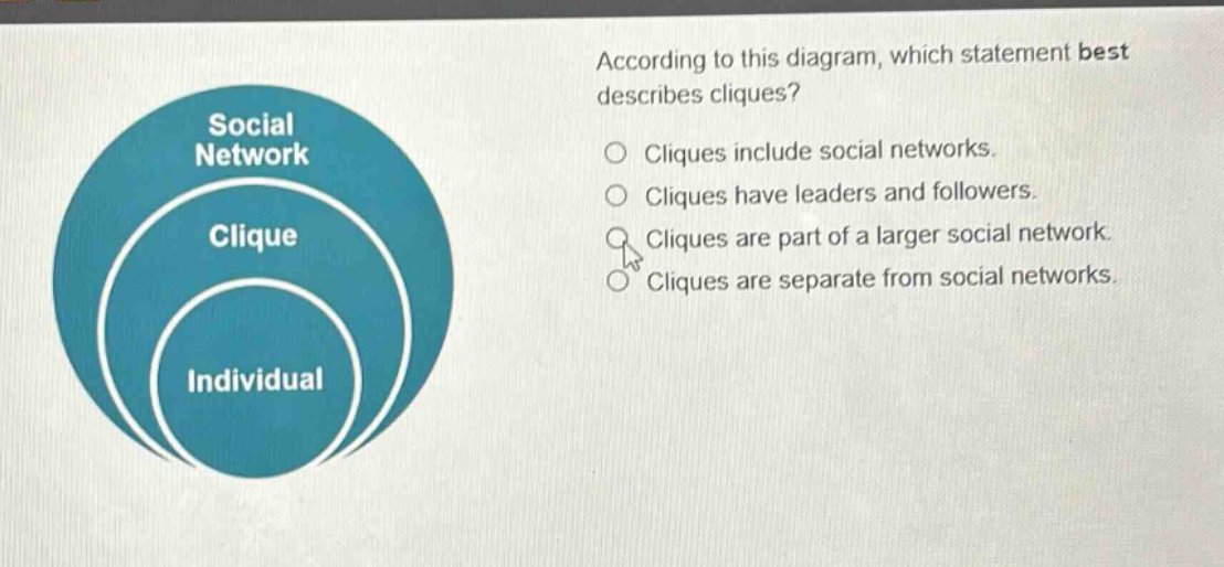 according to this diagram, which statement best describes cliques? cliques include social networks. cliques have leaders and followers. cliques are part of a larger social network. cliques are separate from social networks.