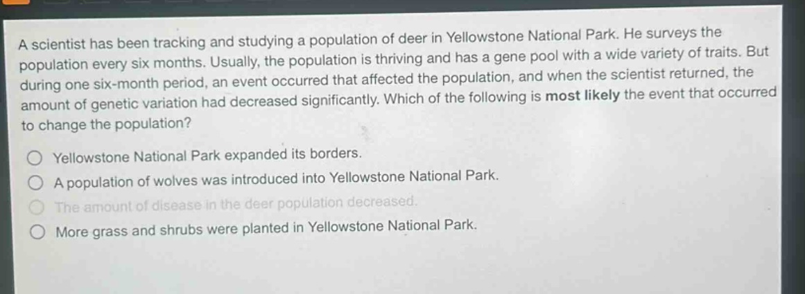 a scientist has been tracking and studying a population of deer in yellowstone national park. he surveys the population every six months. usually, the population is thriving and has a gene pool with a wide variety of traits. but during one six - month period, an event occurred that affected the population, and when the scientist returned, the amount of genetic variation had decreased significantly. which of the following is most likely the event that occurred to change the population?\nyellowstone national park expanded its borders.\na population of wolves was introduced into yellowstone national park.\nthe amount of disease in the deer population decreased.\nmore grass and shrubs were planted in yellowstone national park.