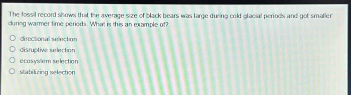 the fossil record shows that the average size of black bears was large during cold glacial periods and got smaller during warmer time periods. what is this an example of?\no directional selection\no disruptive selection\no ecosystem selection\no stabilizing selection