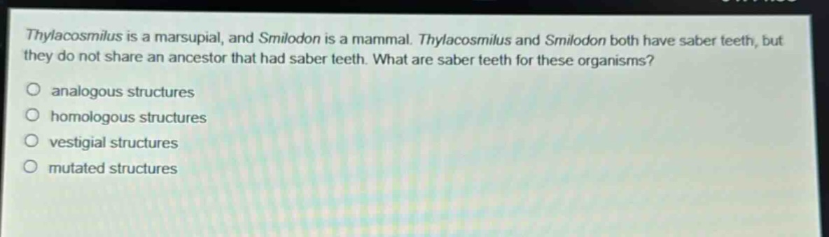thylacosmilus is a marsupial, and smilodon is a mammal. thylacosmilus and smilodon both have saber teeth, but they do not share an ancestor that had saber teeth. what are saber teeth for these organisms?\no analogous structures\no homologous structures\no vestigial structures\no mutated structures