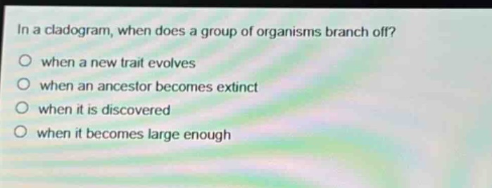in a cladogram, when does a group of organisms branch off?\no when a new trait evolves\no when an ancestor becomes extinct\no when it is discovered\no when it becomes large enough