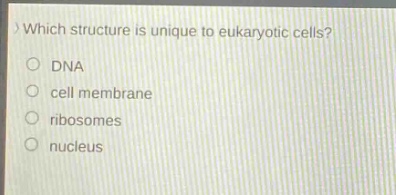 which structure is unique to eukaryotic cells?\ndna\ncell membrane\nribosomes\nnucleus