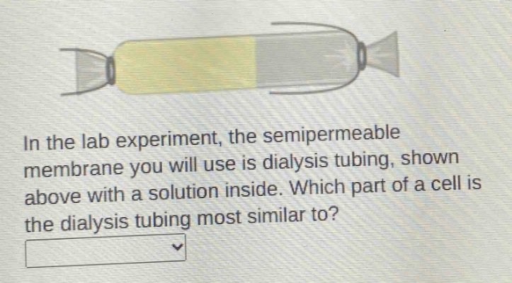 in the lab experiment, the semipermeable membrane you will use is dialysis tubing, shown above with a solution inside. which part of a cell is the dialysis tubing most similar to?