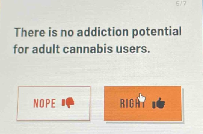 there is no addiction potential for adult cannabis users. nope right