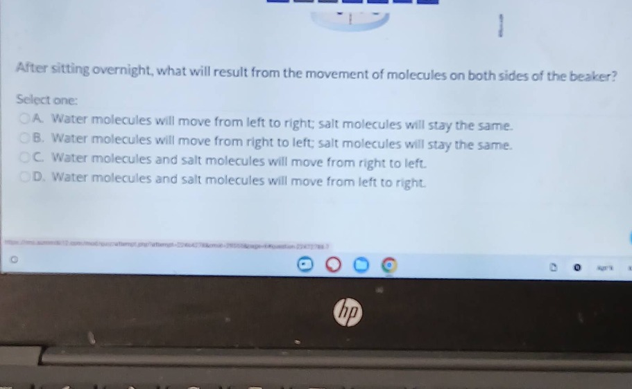 after sitting overnight, what will result from the movement of molecules on both sides of the beaker? select one: a. water molecules will move from left to right; salt molecules will stay the same. b. water molecules will move from right to left; salt molecules will stay the same. c. water molecules and salt molecules will move from right to left. d. water molecules and salt molecules will move from left to right.