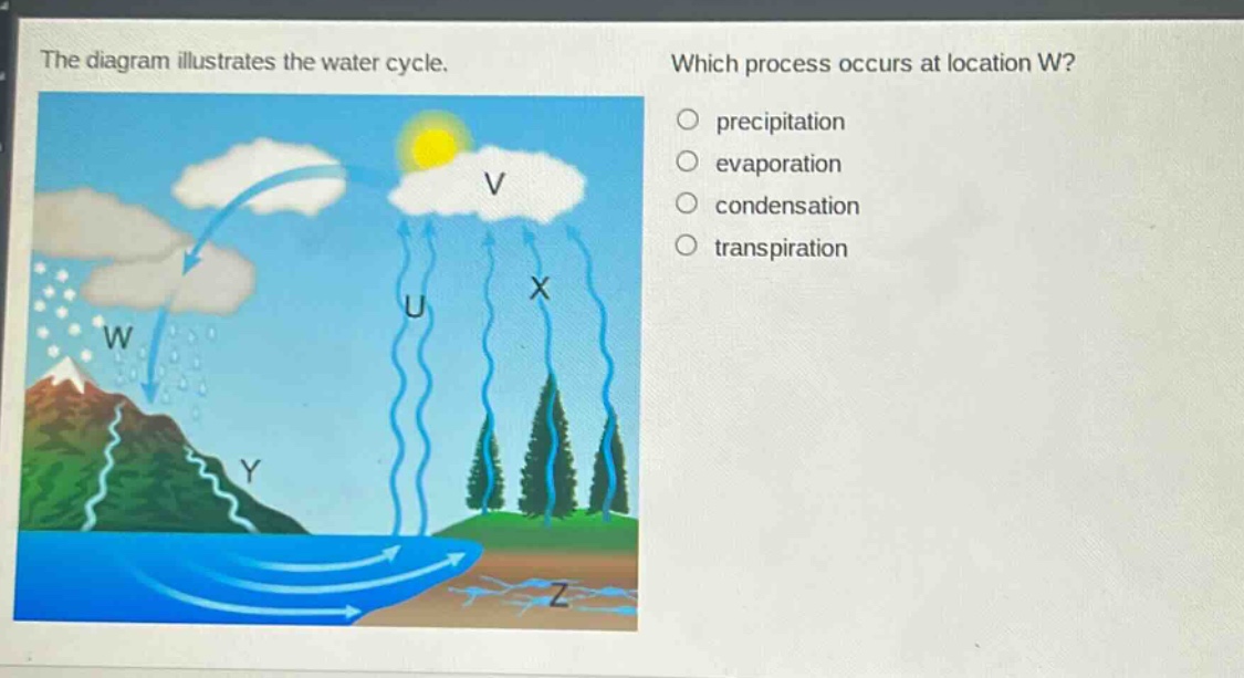 the diagram illustrates the water cycle. which process occurs at location w? precipitation evaporation condensation transpiration