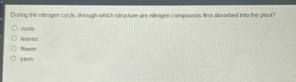 during the nitrogen cycle, through which structure are nitrogen compounds first absorbed into the plant?\nroots\nleaves\nflower\nstem