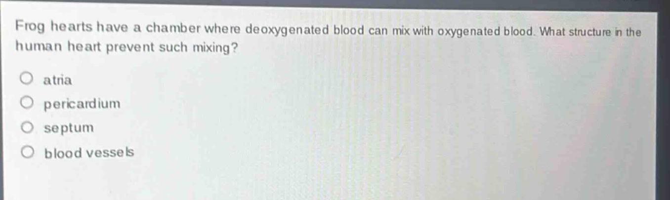 frog hearts have a chamber where deoxygenated blood can mix with oxygenated blood. what structure in the human heart prevent such mixing?\no atria\no pericardium\no septum\no blood vessels