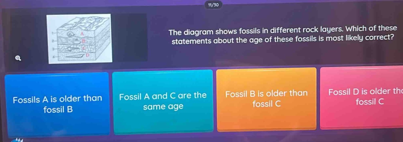 the diagram shows fossils in different rock layers. which of these statements about the age of these fossils is most likely correct? fossils a is older than fossil b fossil a and c are the same age fossil b is older than fossil c fossil d is older than fossil c