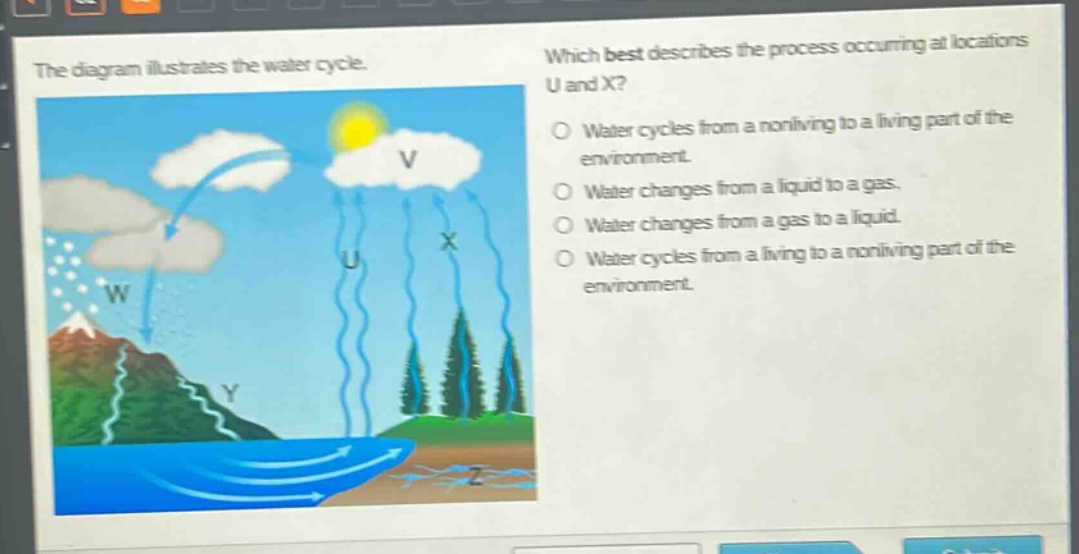 the diagram illustrates the water cycle. which best describes the process occurring at locations u and x? water cycles from a nonliving to a living part of the environment. water changes from a liquid to a gas. water changes from a gas to a liquid. water cycles from a living to a nonliving part of the environment.