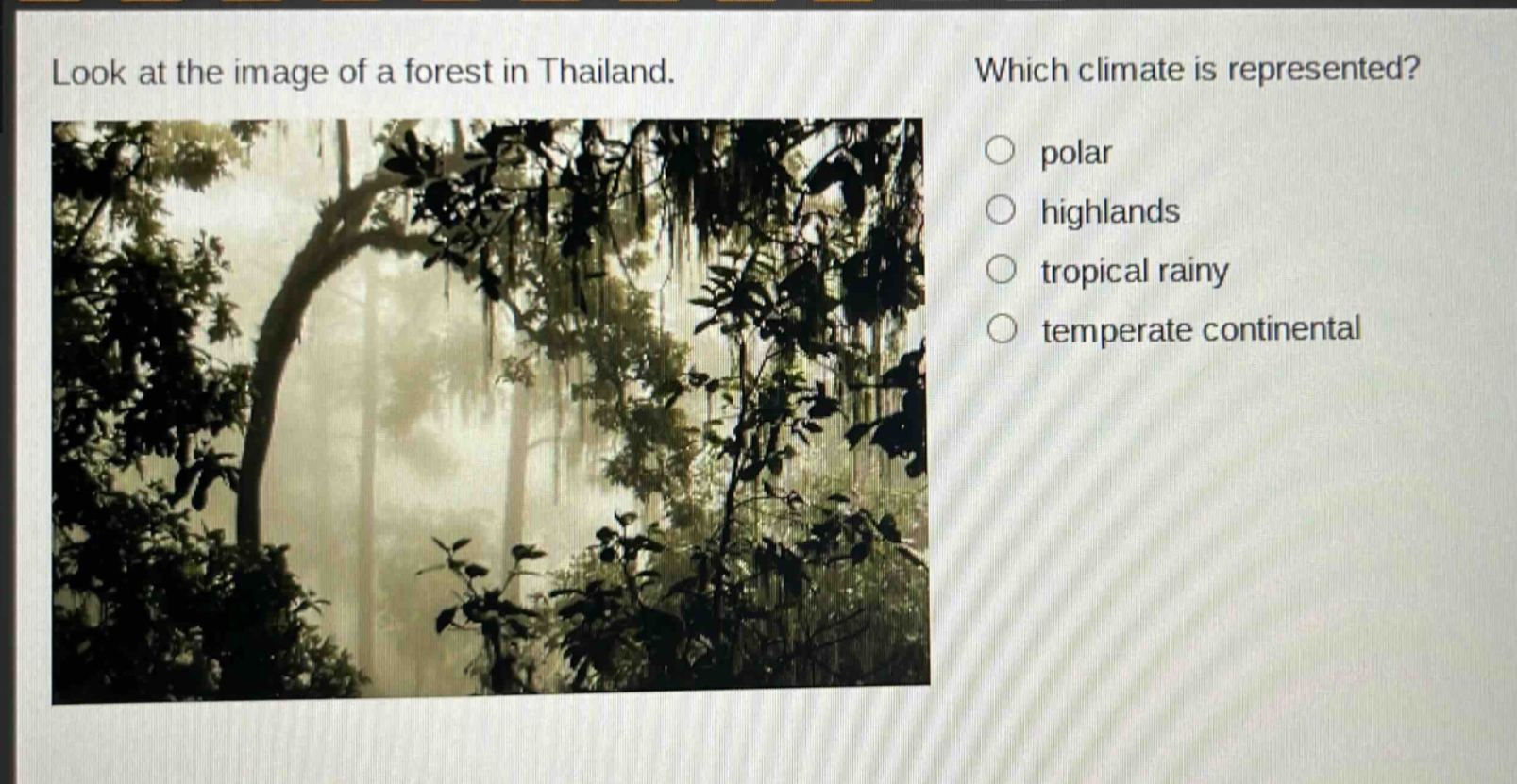 look at the image of a forest in thailand. which climate is represented? polar highlands tropical rainy temperate continental