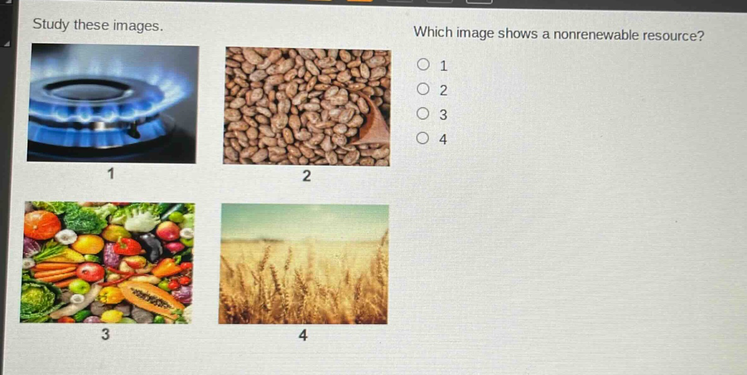study these images. which image shows a nonrenewable resource? 1 2 3 4
