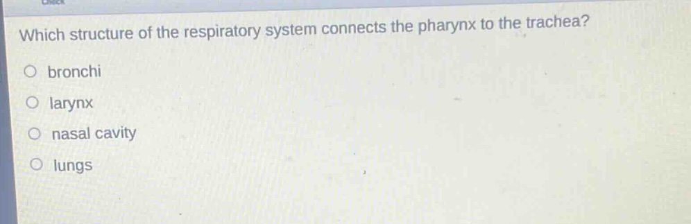 which structure of the respiratory system connects the pharynx to the trachea?\no bronchi\no larynx\no nasal cavity\no lungs