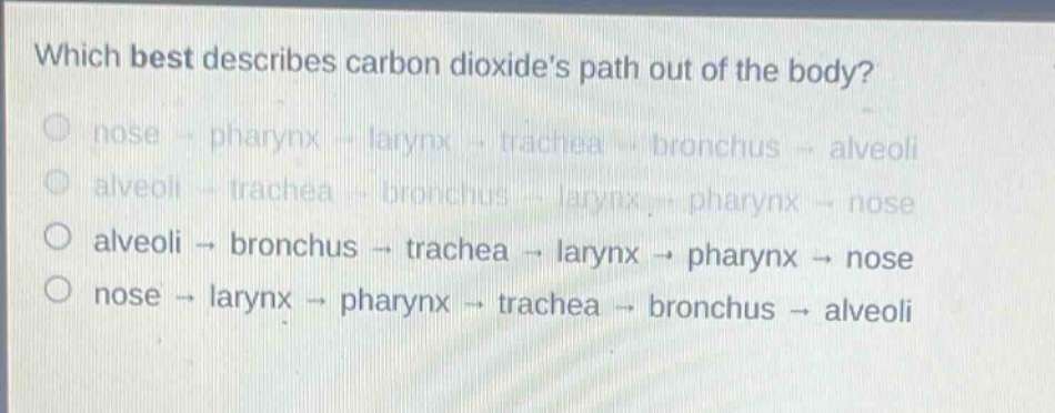which best describes carbon dioxides path out of the body?\n nose → pharynx → larynx → trachea → bronchus → alveoli\n alveoli → trachea → bronchus → larynx → pharynx → nose\n alveoli → bronchus → trachea → larynx → pharynx → nose\n nose → larynx → pharynx → trachea → bronchus → alveoli
