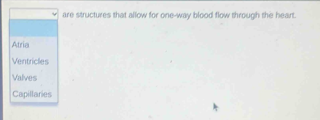 are structures that allow for one - way blood flow through the heart. atria ventricles valves capillaries