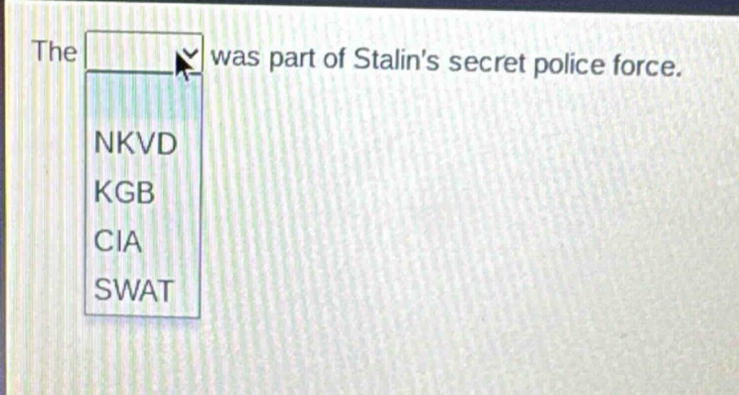 the was part of stalins secret police force. nkvd kgb cia swat