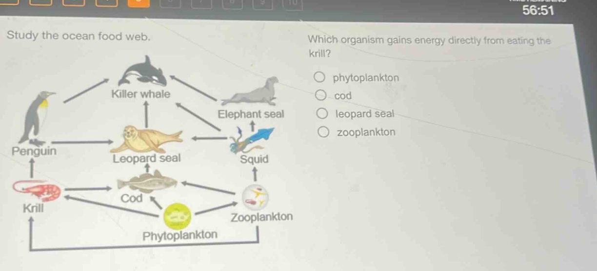 study the ocean food web. which organism gains energy directly from eating the krill? phytoplankton cod leopard seal zooplankton